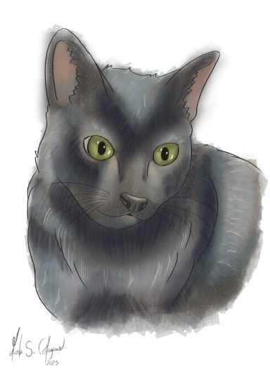 Gato gris con ojos verdes, sentado, con un fondo difuminado blanco.
